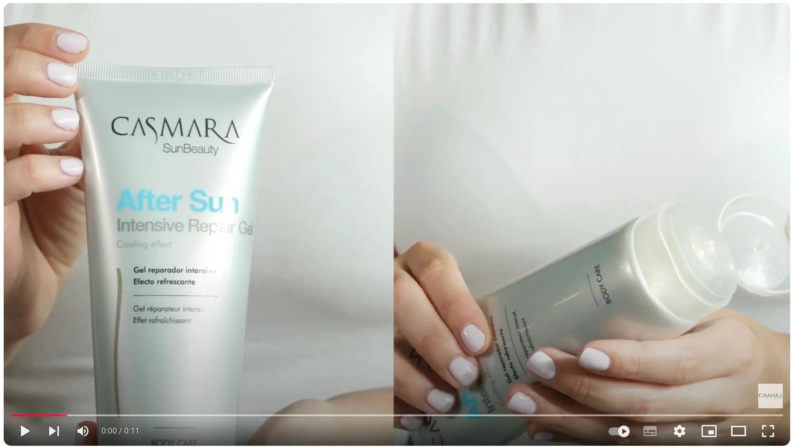 Voorbeeldafbeelding voor de video