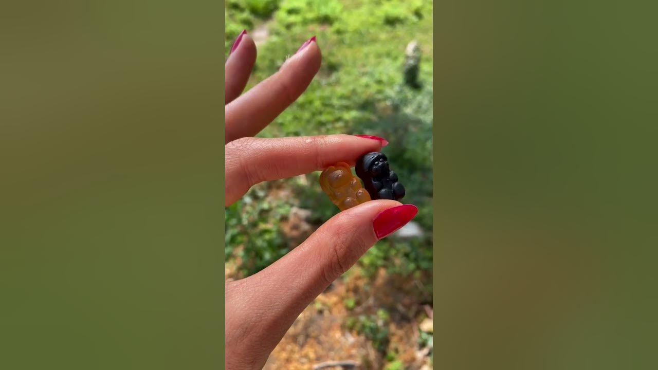 Voorbeeldafbeelding voor de video