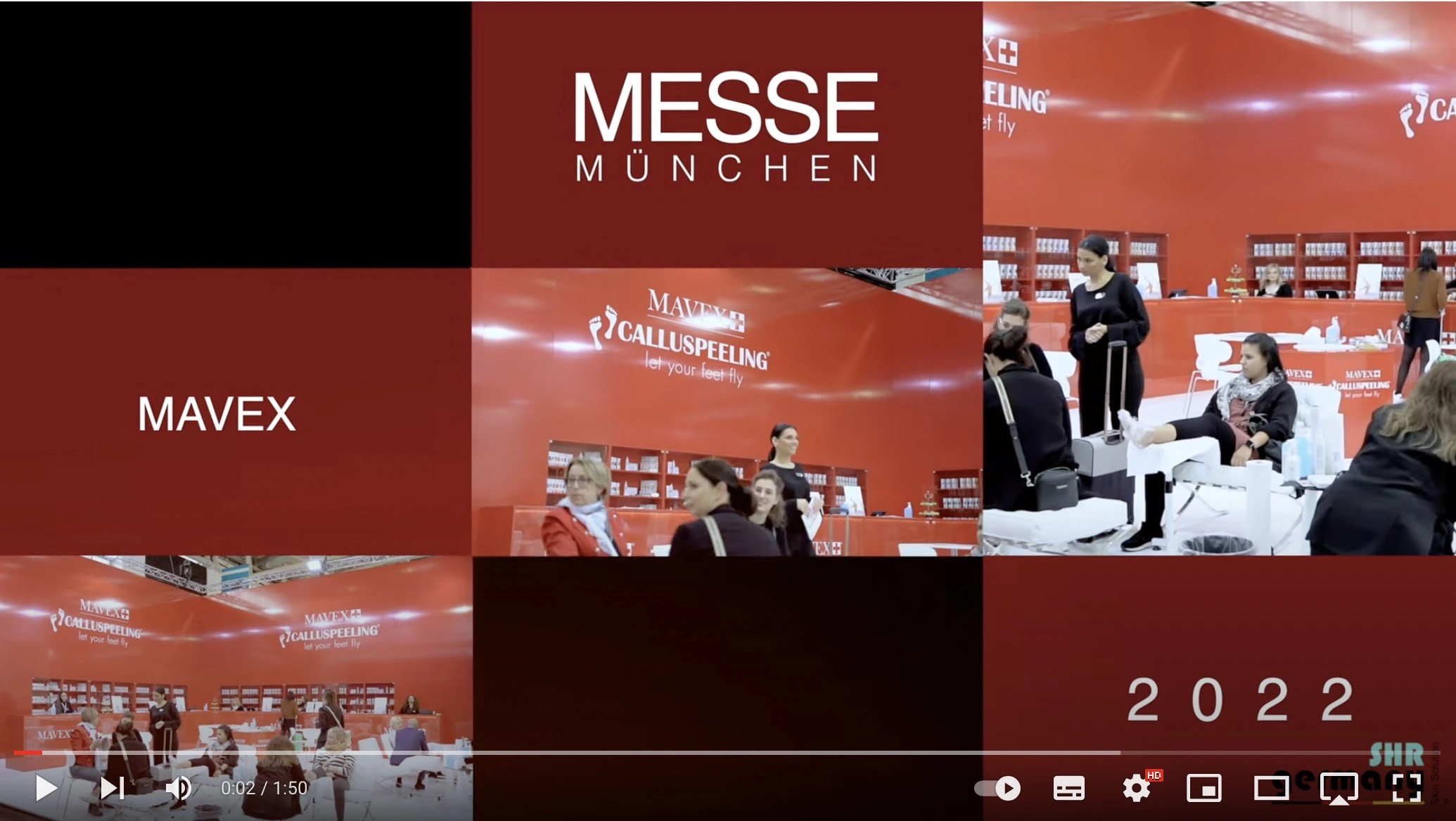 Voorbeeldafbeelding voor de video