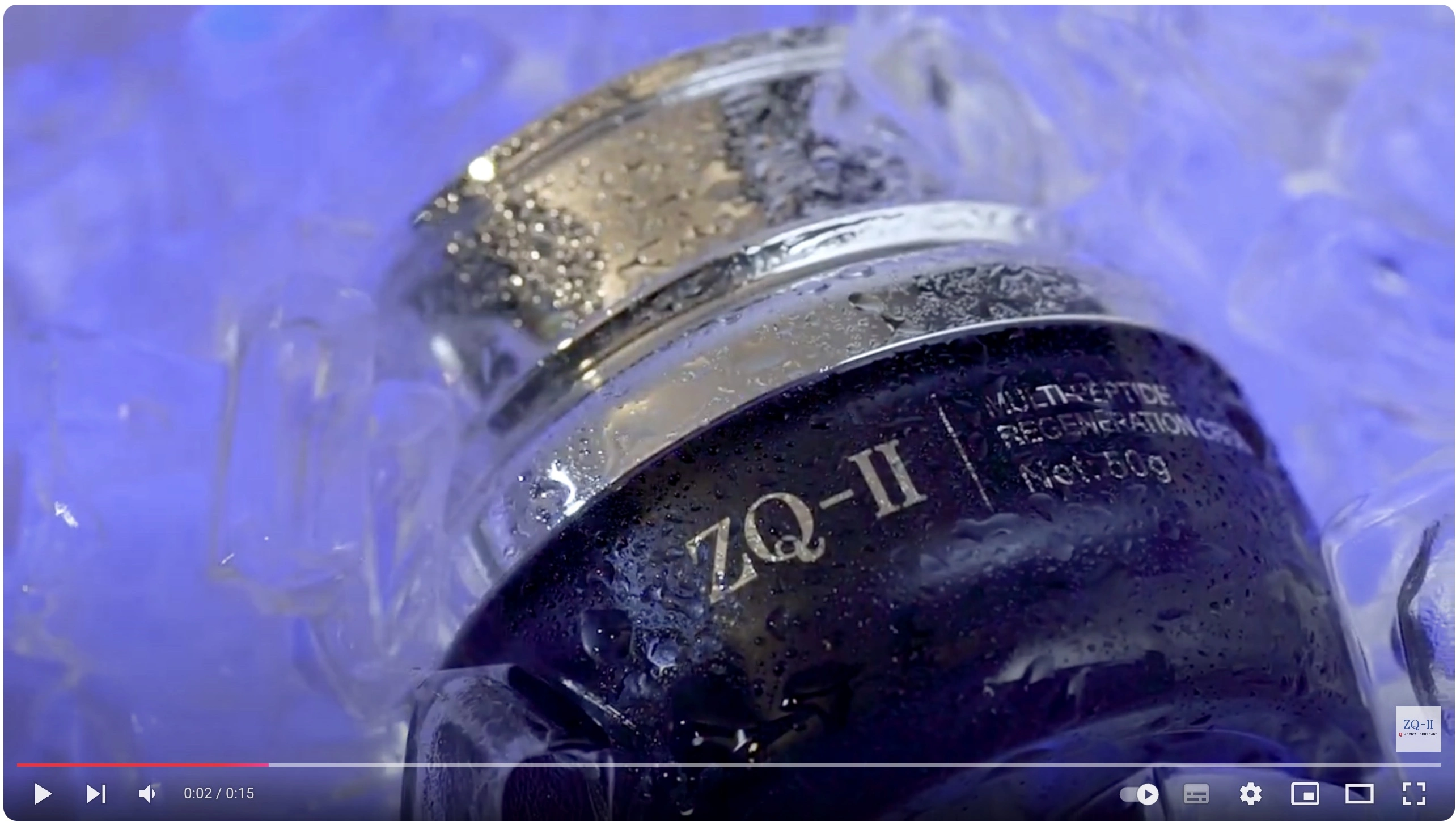 Voorbeeldafbeelding voor de video