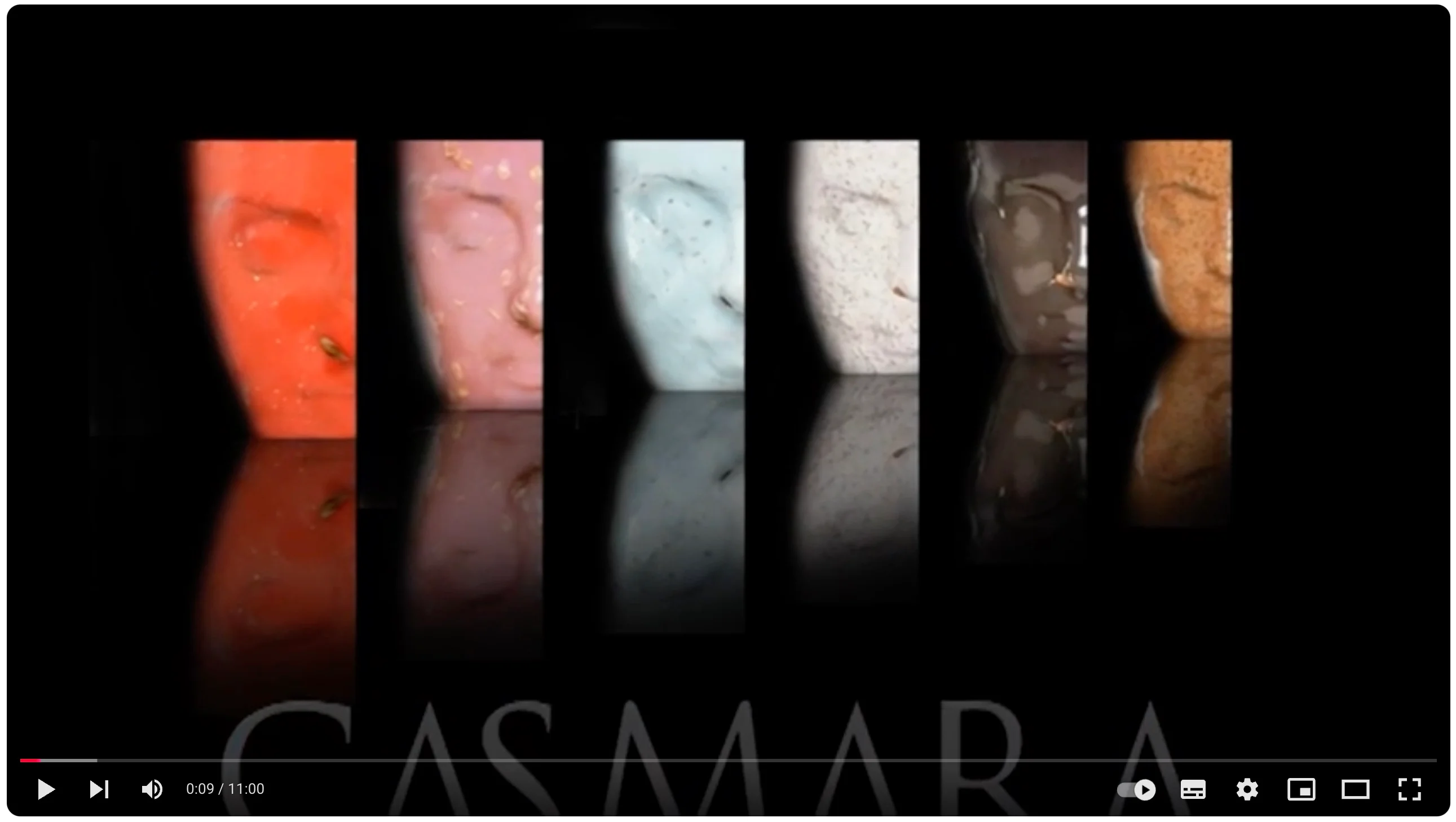 Voorbeeldafbeelding voor de video