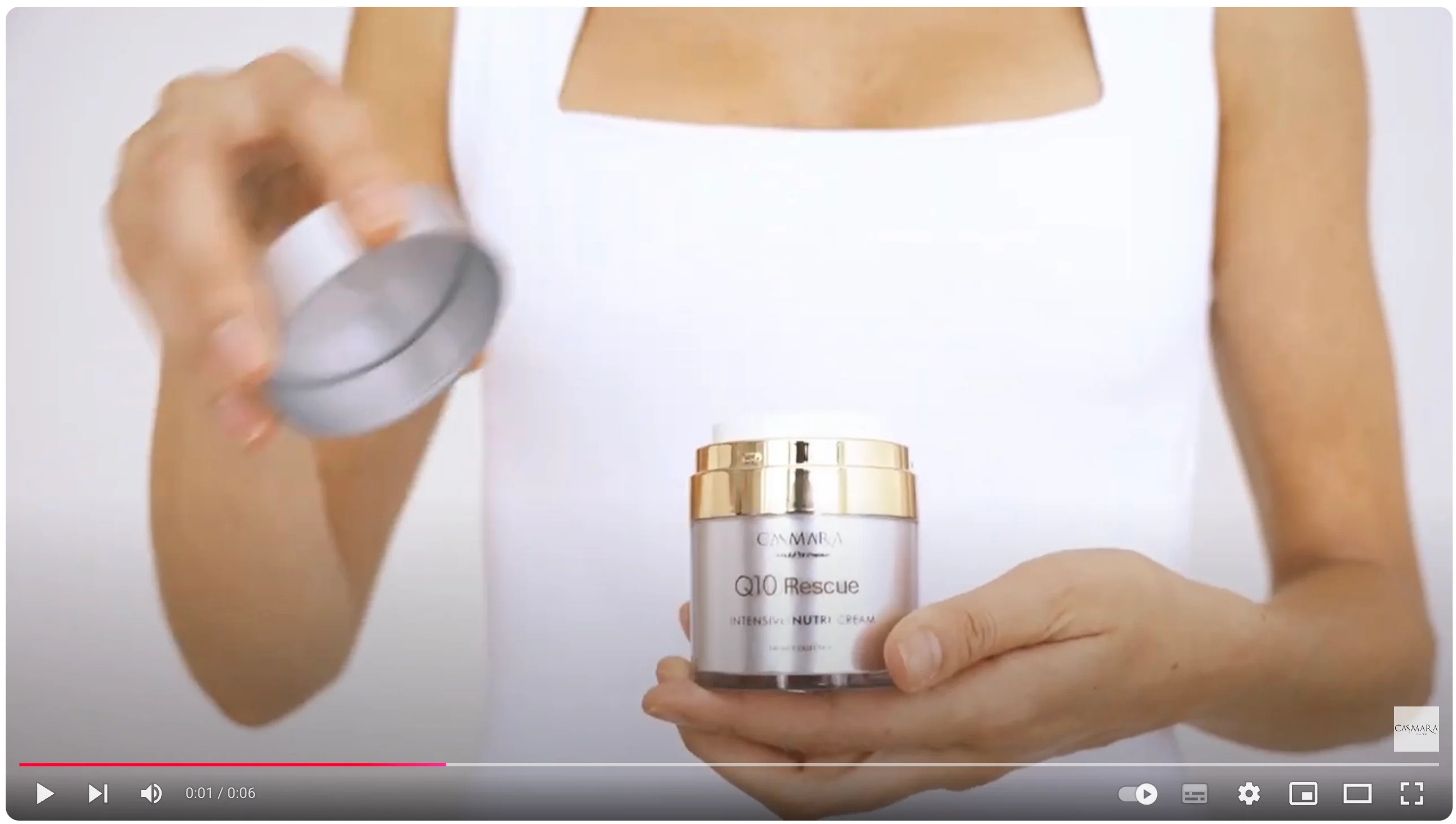 Voorbeeldafbeelding voor de video