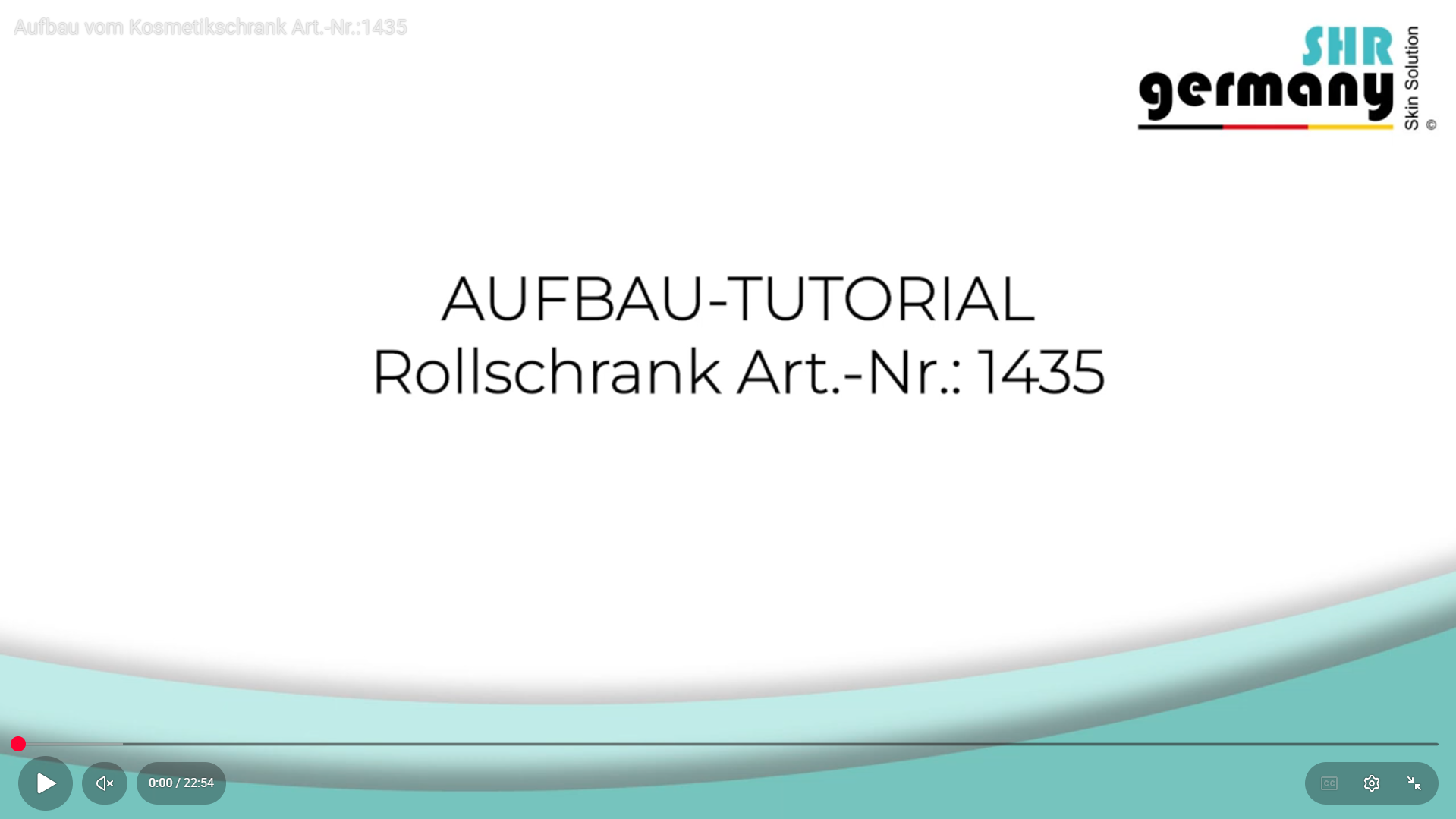 Voorbeeldafbeelding voor de video