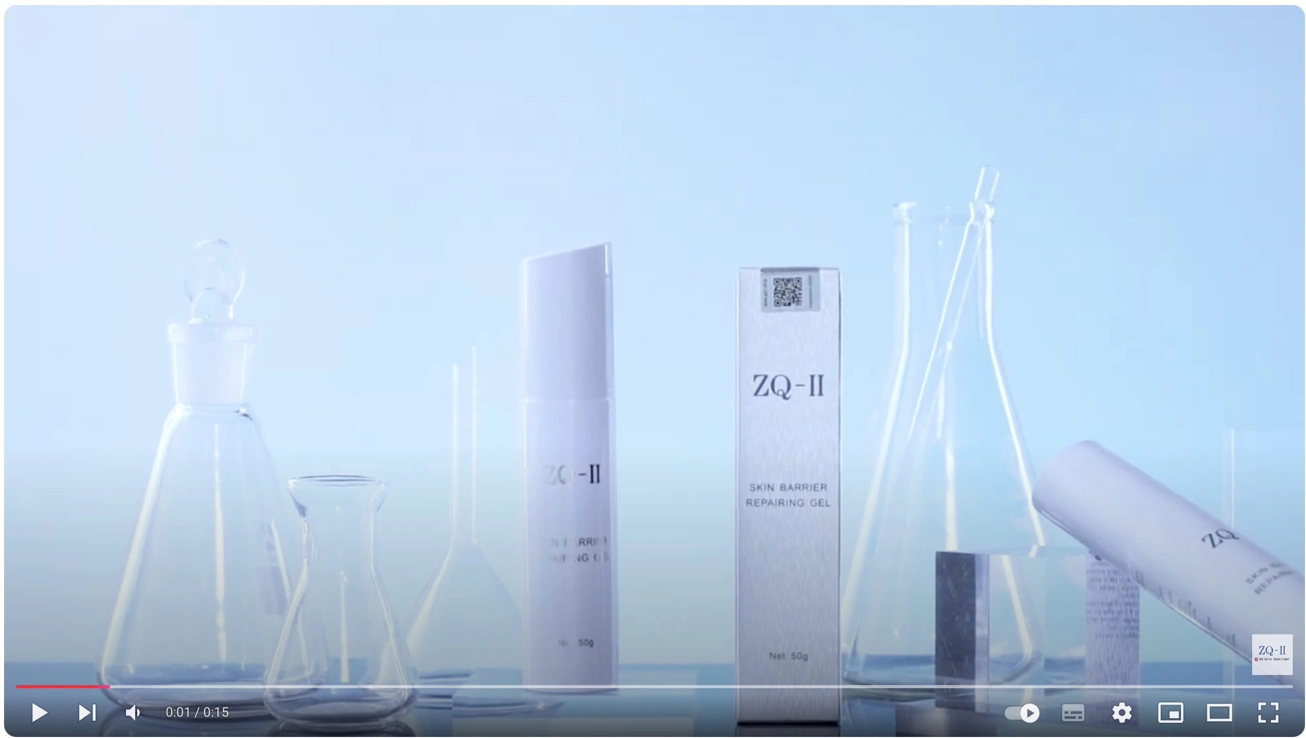 Voorbeeldafbeelding voor de video