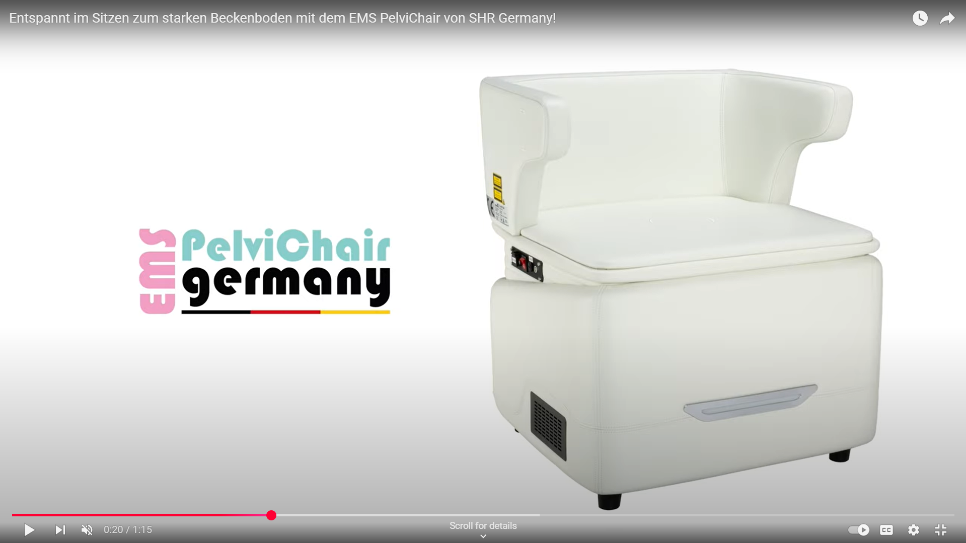 Voorbeeldafbeelding voor de video